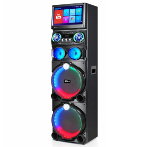 PARLANTE CON PANTALLA PP10