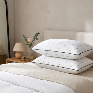 PACK X2 ALMOHADAS ALZA00