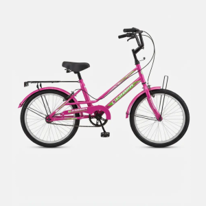 BICICLETA R20